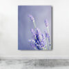 TABLOU CANVAS LAVANDĂ