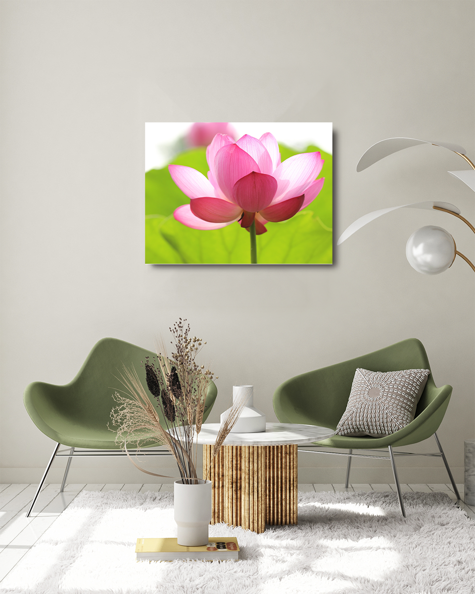TABLOU CANVAS LOTUS